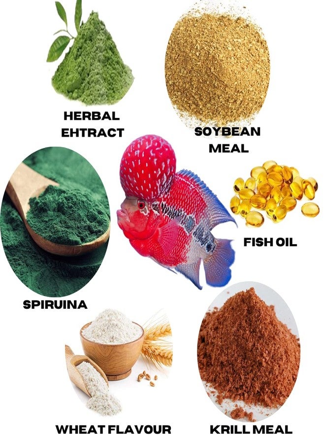 VAYINATO Tusker Nutritional Feed Of Flowerhorn Fish Food(Original)Pouch,100G|Traditional Formula,Natural Food For Flowerhorn With 55% Protein - Image 2